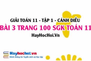 Giải bài 3 trang 100 Toán 11 tập 1 SGK Cánh Diều
